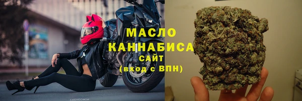 СК Алексин